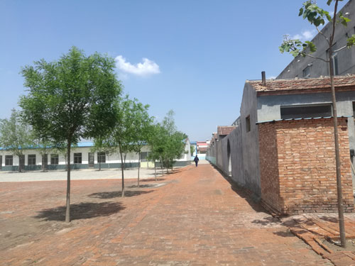 德州健之源專(zhuān)業(yè)承接袋泡茶oem加工,袋泡茶加工,袋泡茶代加工袋泡茶oem加工,袋泡茶加工,袋泡茶代加工...等等為您提供一站式全方位的服務(wù)，從原料、配方、包裝等一切由雙方協(xié)商解決。現(xiàn)面向全國(guó)承接各類(lèi)袋泡茶保健茶批發(fā)制作來(lái)料加工、包工包料。