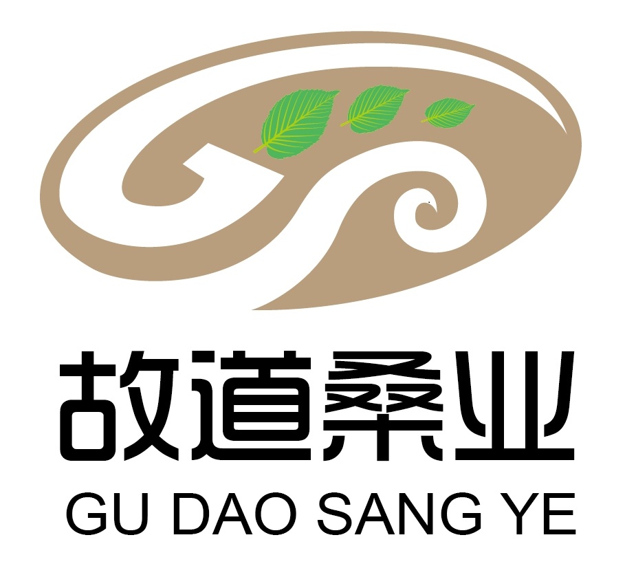 喝茶就可以防脫生發(fā)，太神奇了！桑葉養(yǎng)生茶