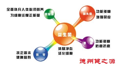 腸胃功能差，益生菌就可以解決一切