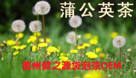 蒲公英茶，今天您喝了嗎？